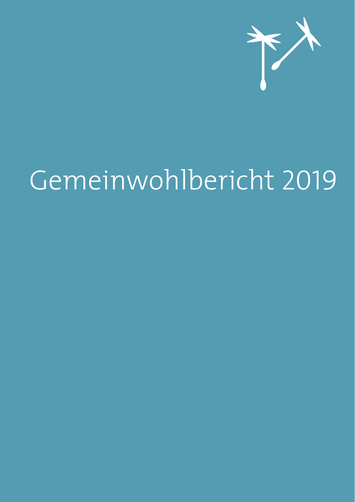 Vorschau Geschäftsbericht RB Lech 2019 Seite 29